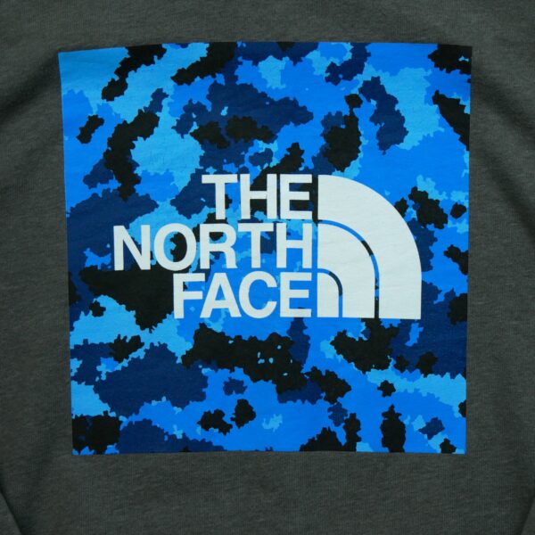 Sweat a capuche homme manches longues gris The North Face Motif imprime Col Rond QWE3345