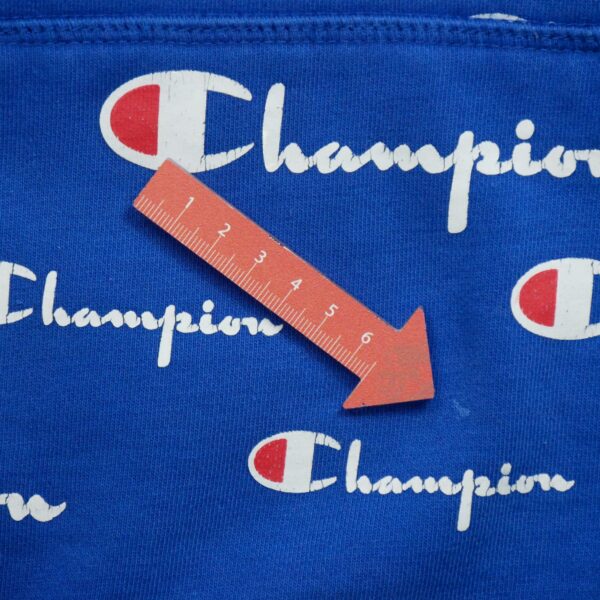 Sweat a capuche enfant manches longues bleu Champion Motif a motifs Col Rond QWE1619