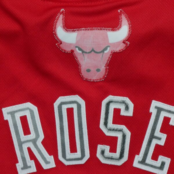 Maillot sans manches homme rouge Adidas Equipe Chicago Bulls QWE0296