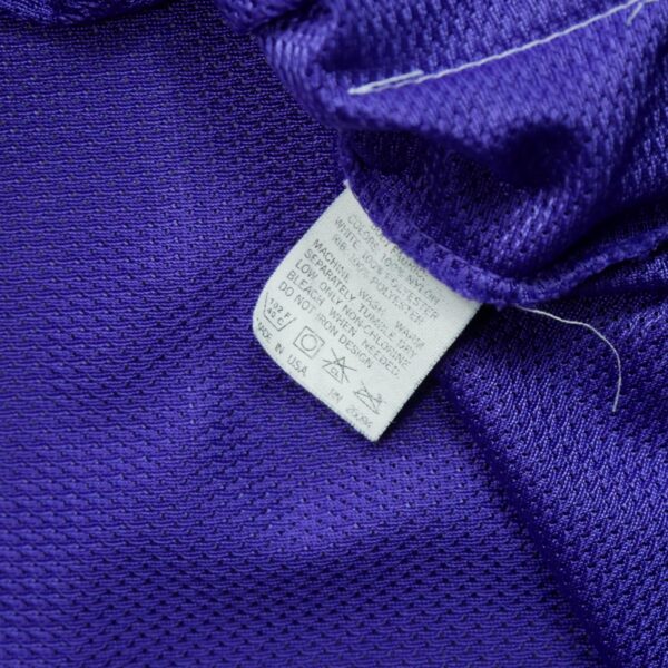 Maillot sans manches homme violet Champion Equipe Hornets de Charlotte QWE1024