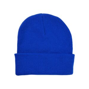 Bonnet homme bleu Adidas QWE9020