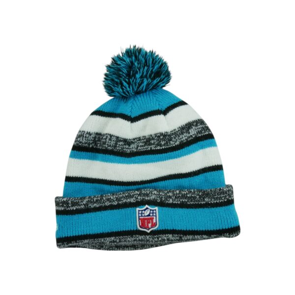 Bonnet homme gris NFL Team Apparel Equipe Carolina Panthers QWE9121