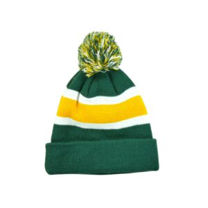 Bonnet homme vert NFL Team Apparel Equipe Green Bay Packers QWE9023